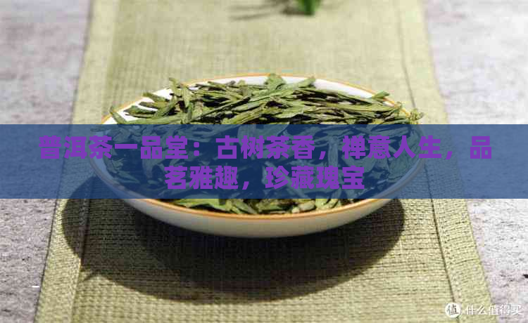 普洱茶一品堂：古树茶香，禅意人生，品茗雅趣，珍藏瑰宝