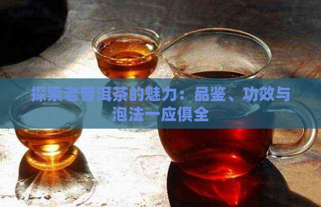 探索老普洱茶的魅力：品鉴、功效与泡法一应俱全