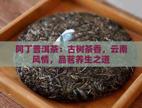 阿丁普洱茶：古树茶香，云南风情，品茗养生之道