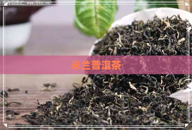 米兰普洱茶