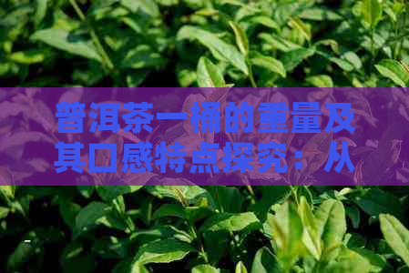 普洱茶一桶的重量及其口感特点探究：从茶叶含量、品质到冲泡方法的影响