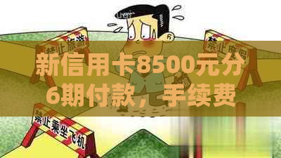 新信用卡8500元分6期付款，手续费详细解析与比较