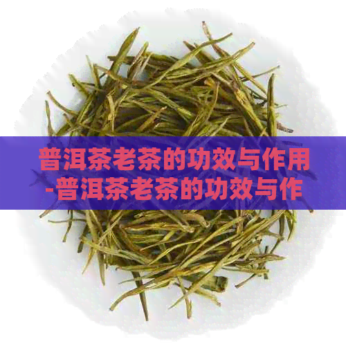 普洱茶老茶的功效与作用-普洱茶老茶的功效与作用及禁忌