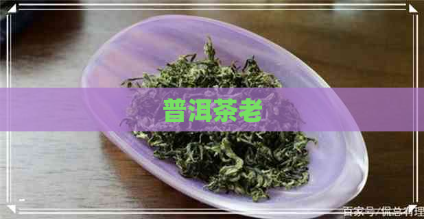 普洱茶老