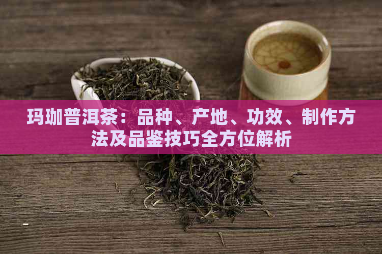 玛珈普洱茶：品种、产地、功效、制作方法及品鉴技巧全方位解析