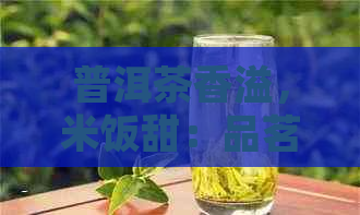 普洱茶香溢，米饭甜：品茗新体验