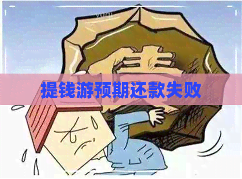 提钱游预期还款失败