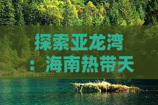 探索亚龙湾：海南热带天堂旅游攻略与精选景点指南