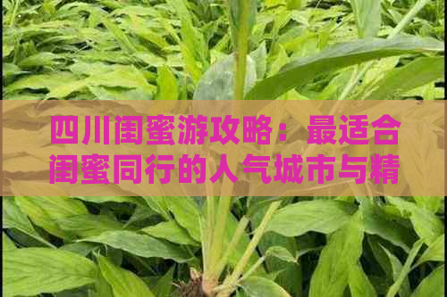 四川闺蜜游攻略：最适合闺蜜同行的人气城市与精选景点推荐