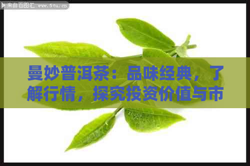 曼妙普洱茶：品味经典，了解行情，探究投资价值与市场价格波动