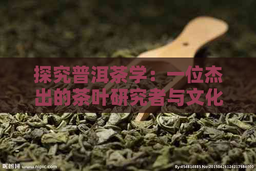 探究普洱茶学：一位杰出的茶叶研究者与文化传承者