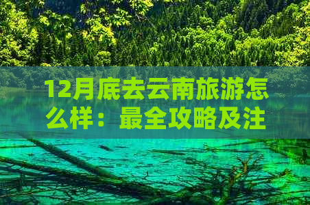 12月底去云南旅游怎么样：最全攻略及注意事项！