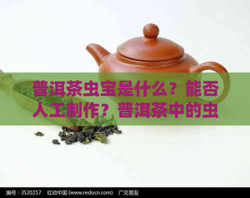 普洱茶虫宝是什么？能否人工制作？普洱茶中的虫还能否喝？