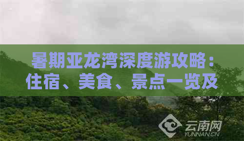 暑期亚龙湾深度游攻略：住宿、美食、景点一览及亲子互动指南