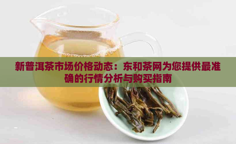 新普洱茶市场价格动态：东和茶网为您提供最准确的行情分析与购买指南