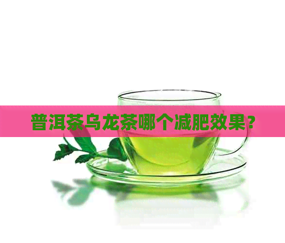 普洱茶乌龙茶哪个减肥效果？