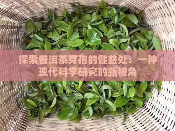 探索普洱茶芽孢的健益处：一种现代科学研究的新视角