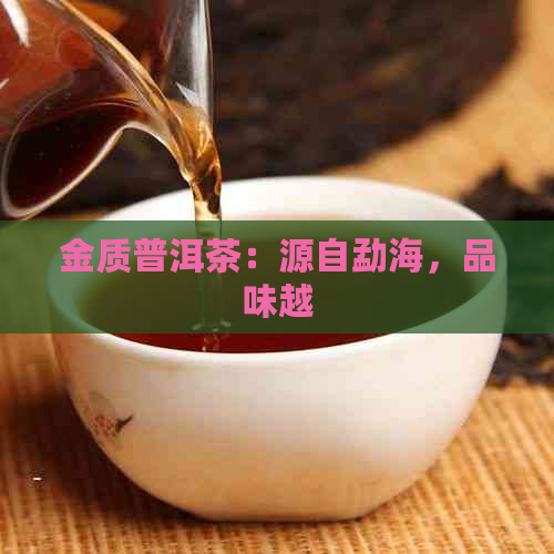 金质普洱茶：源自勐海，品味越