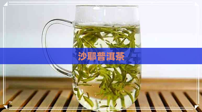 沙耶普洱茶