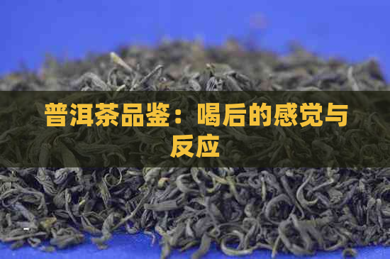 普洱茶品鉴：喝后的感觉与反应