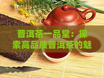 普洱茶一品堂：探索高品质普洱茶的魅力与品鉴方法