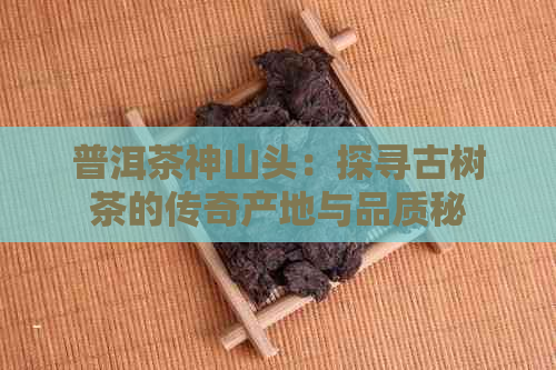 普洱茶神山头：探寻古树茶的传奇产地与品质秘