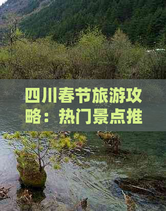 四川春节旅游攻略：热门景点推荐及性价比高的玩法指南