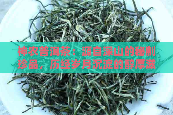 神农普洱茶：源自深山的秘制珍品，历经岁月沉淀的醇厚滋味