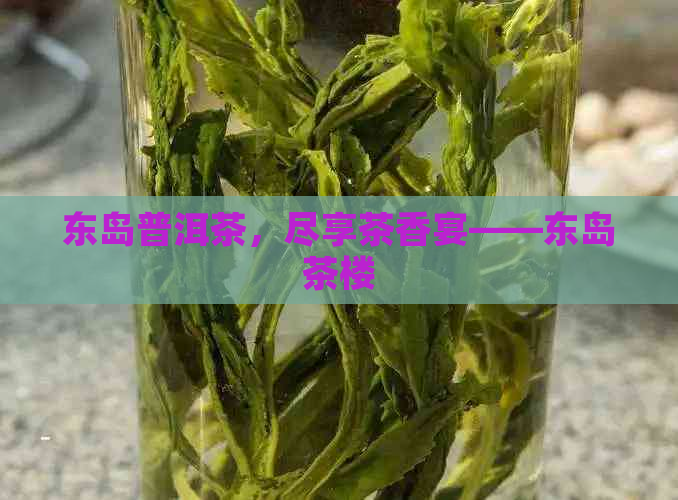 东岛普洱茶，尽享茶香宴——东岛茶楼