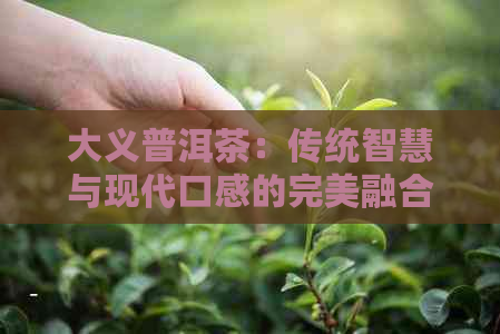 大义普洱茶：传统智慧与现代口感的完美融合