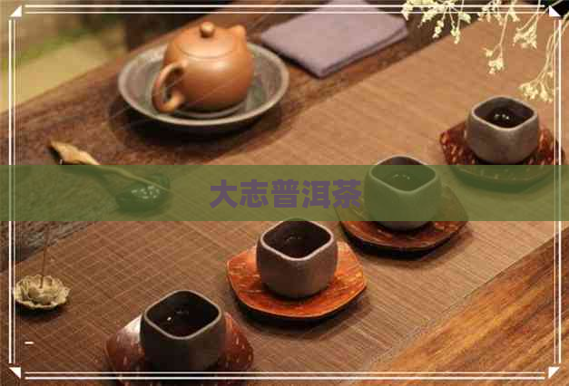 大志普洱茶