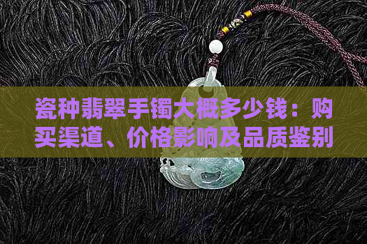 瓷种翡翠手镯大概多少钱：购买渠道、价格影响及品质鉴别全解析