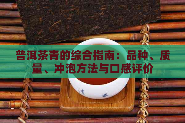 普洱茶青的综合指南：品种、质量、冲泡方法与口感评价