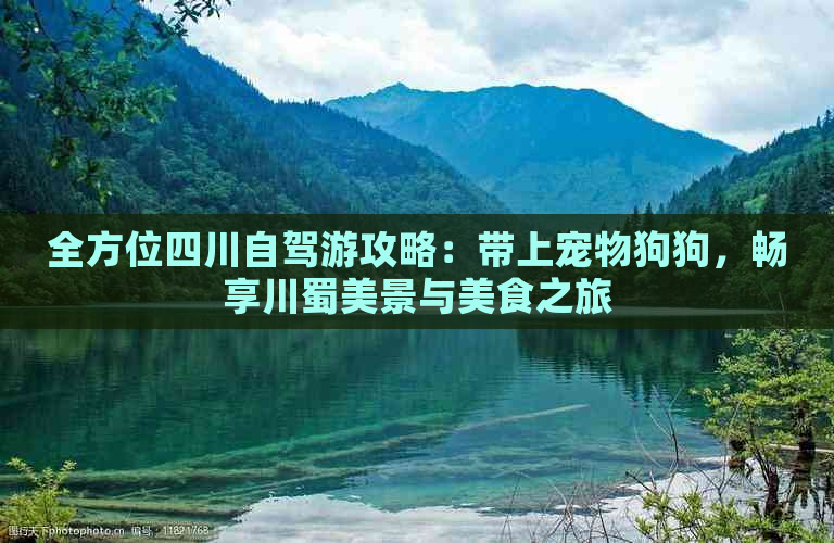 全方位四川自驾游攻略：带上宠物狗狗，畅享川蜀美景与美食之旅