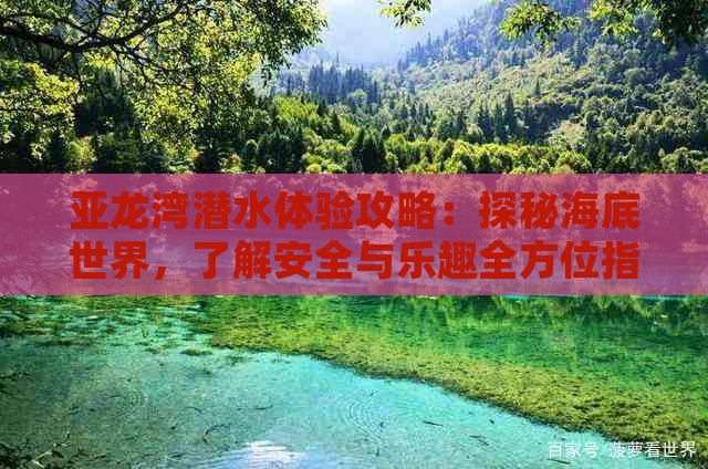 亚龙湾潜水体验攻略：探秘海底世界，了解安全与乐趣全方位指南