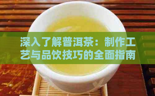 深入了解普洱茶：制作工艺与品饮技巧的全面指南