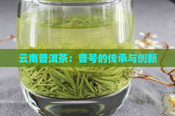 云南普洱茶：普号的传承与创新