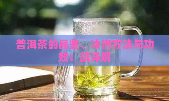 普洱茶的品鉴、冲泡方法与功效：凯详解