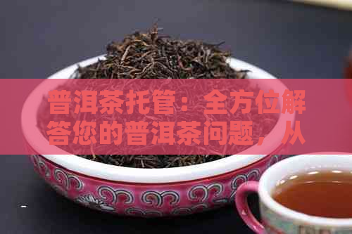 普洱茶托管：全方位解答您的普洱茶问题，从选购到品饮再到存放