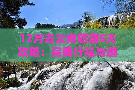 12月去云南旅游5天攻略：完美行程与避坑指南