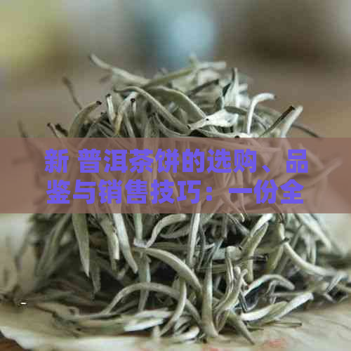 新 普洱茶饼的选购、品鉴与销售技巧：一份全面的指南