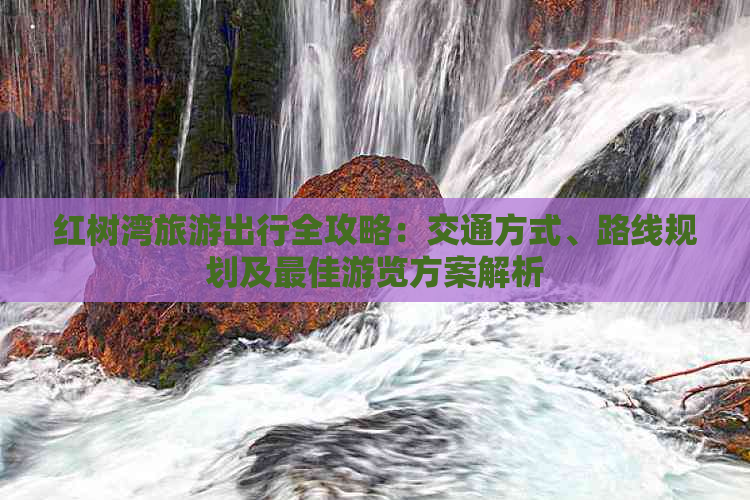 红树湾旅游出行全攻略：交通方式、路线规划及更佳游览方案解析