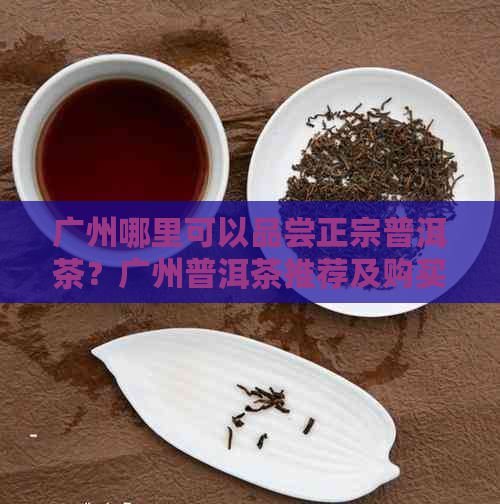 广州哪里可以品尝正宗普洱茶？广州普洱茶推荐及购买指南