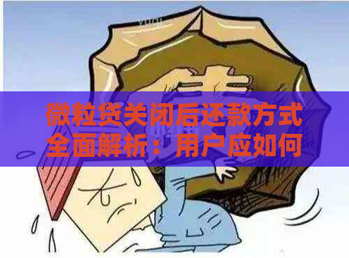 微粒贷关闭后还款方式全面解析：用户应如何在不同场景下进行还款？