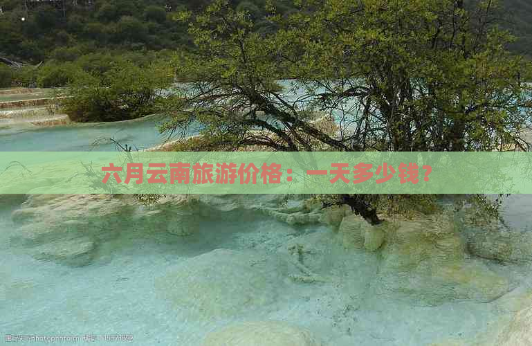 六月云南旅游价格：一天多少钱？