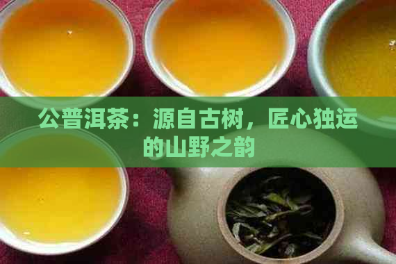 公普洱茶：源自古树，匠心独运的山野之韵