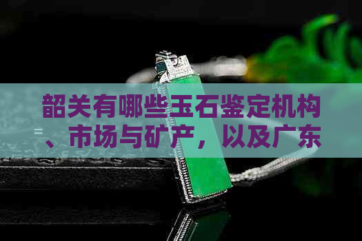 韶关有哪些玉石鉴定机构、市场与矿产，以及广东韶关的特色玉石和加工地点？