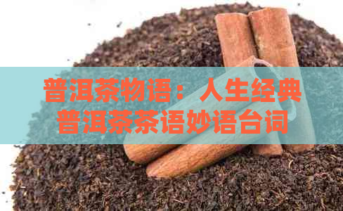 普洱茶物语：人生经典普洱茶茶语妙语台词