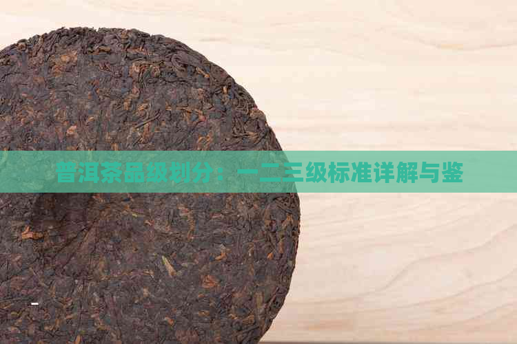 普洱茶品级划分：一二三级标准详解与鉴