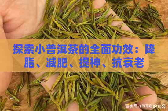 探索小普洱茶的全面功效：降脂、减肥、提神、抗衰老